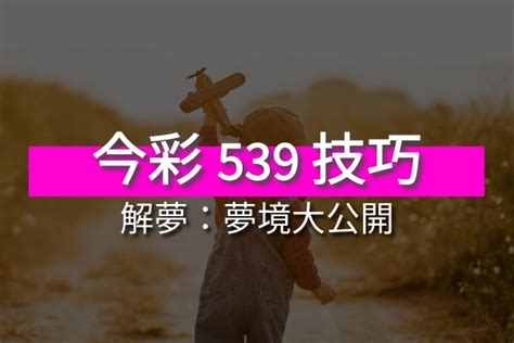 夢到小鳥號碼|看準解夢號碼中539頭獎？539解夢大全大公開！